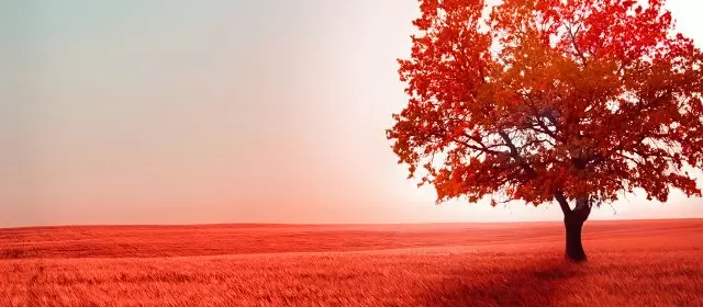 Horoskop pro Sobota 17 říjen 2026