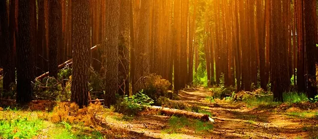 Horoskop pro úterý 20 říjen 2026